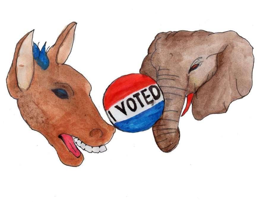 election cartoon