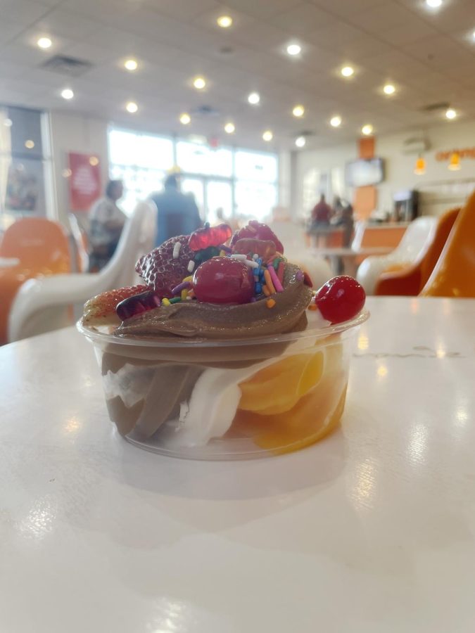 REVIEW: Orange Leaf Pleases with Variety of Flavors