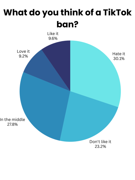 Graphic: What do you think of the tiktok ban? hate it: 30.1 percent don't like it: 23.2 percent In the middle: 27.8 percent Love it: 9.2 percent Like it: 9.6 percent