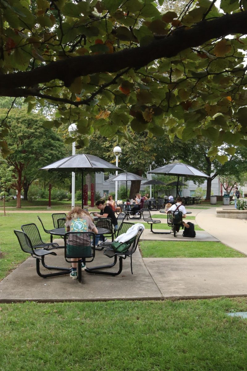 Missouri State University students sit together to work on class projects. On the outside, they are normal, a part of the scene; only on the inside can one understand just how brave each person has been.