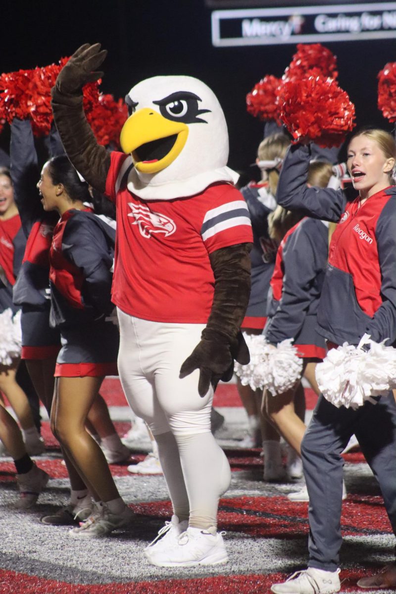 Behind the Beak